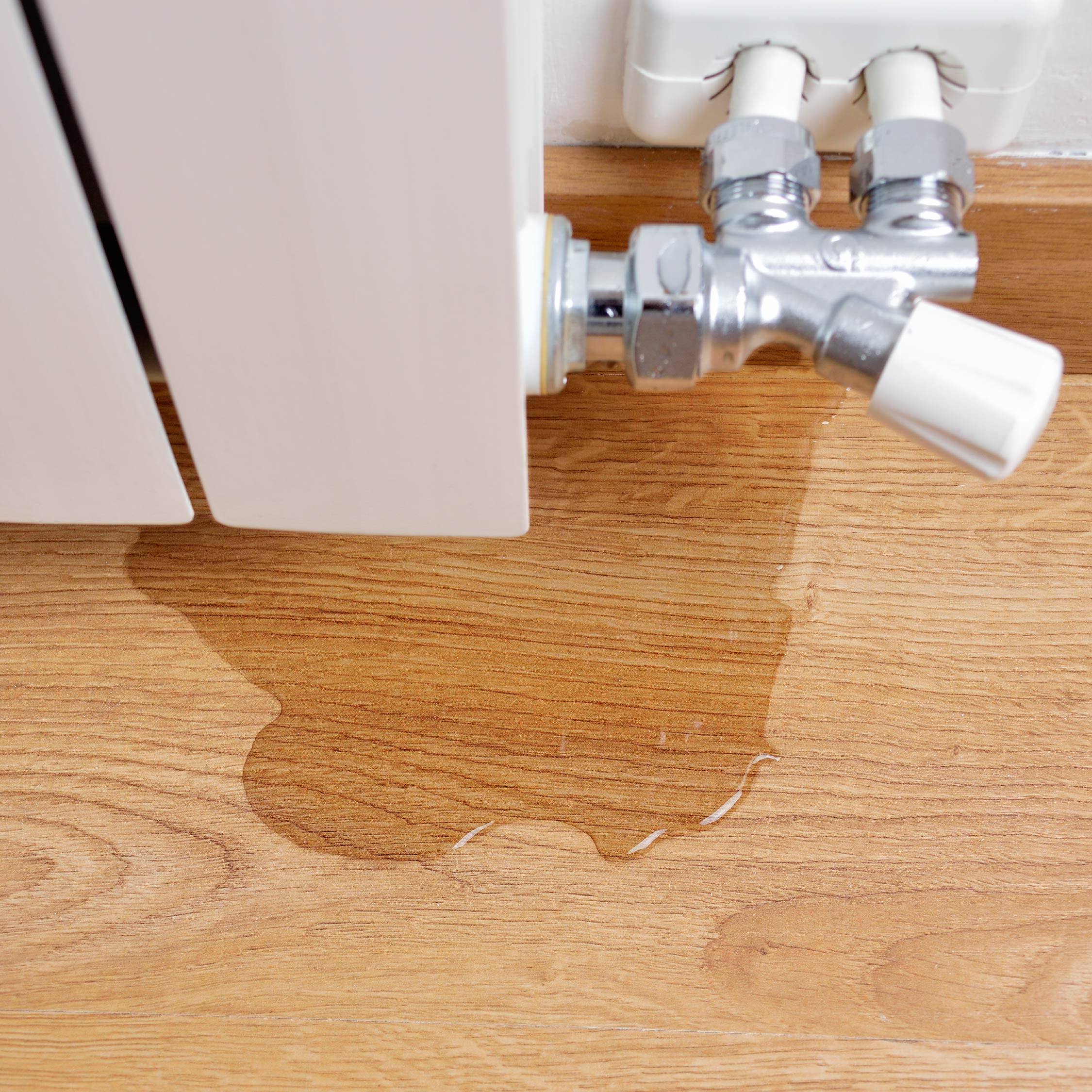 Detecting Hidden Leaks in Your Home’s Plumbing